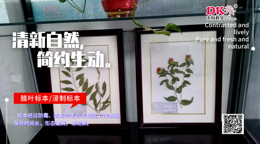 植物標本根據(jù)使用目的分類