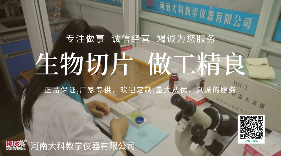 生物標本在教學(xué)中的作用