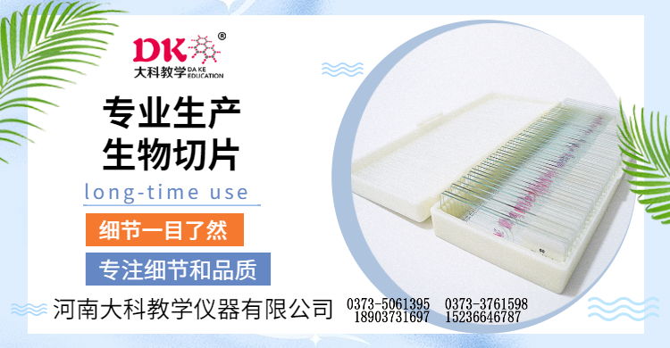 石蠟切片和冰凍切片的區(qū)別