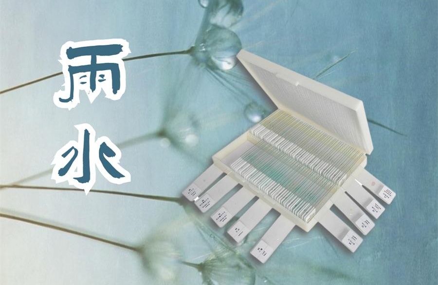 雨水，乍暖還寒