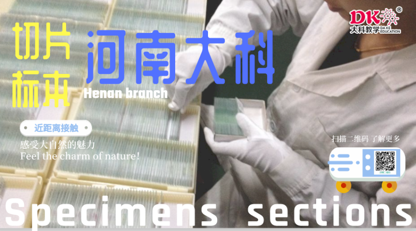 默認(rèn)標(biāo)題_橫版海報_2020-07-15-0