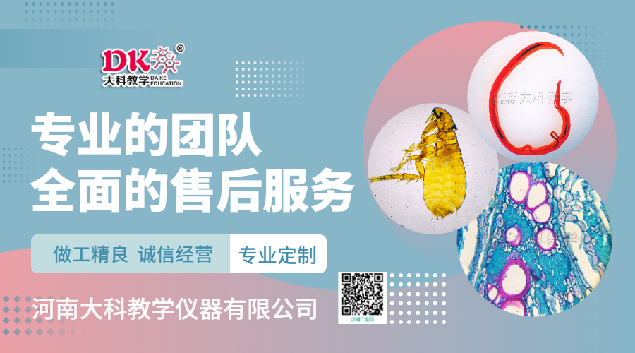 大科官網(wǎng)插圖 (2)